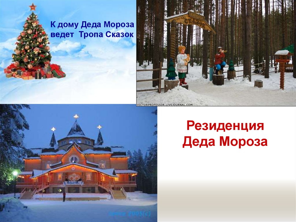 К дому Деда Мороза ведет Тропа Сказок