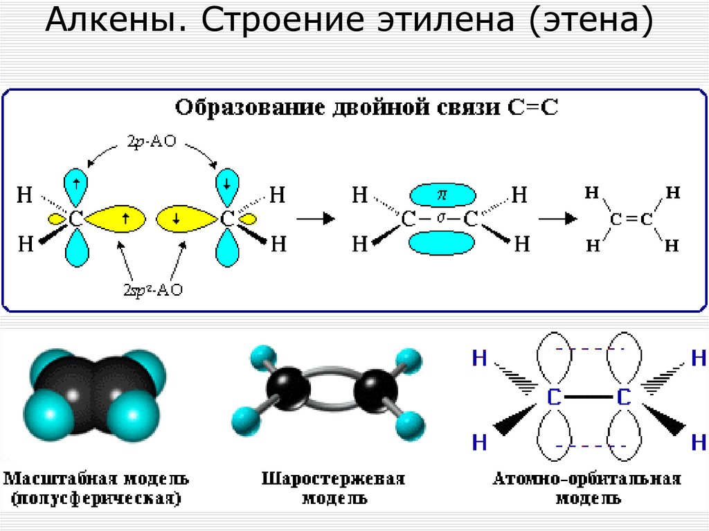 Алкены. Строение этилена (этена)