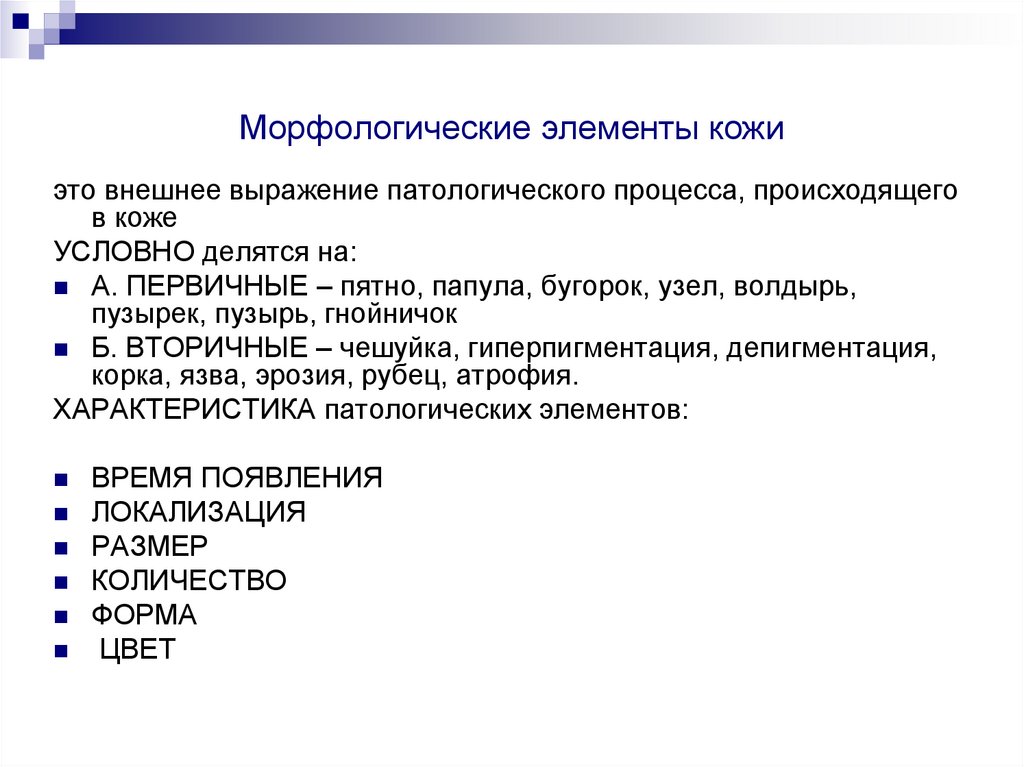 Морфологические элементы кожи