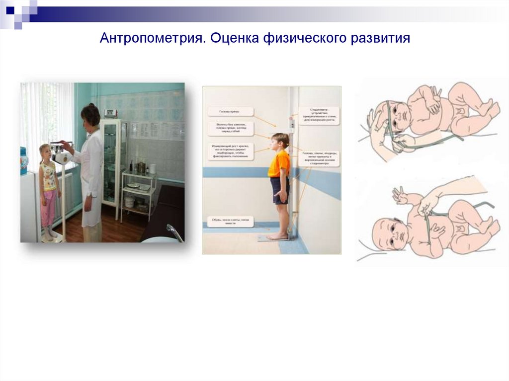 Антропометрия. Оценка физического развития