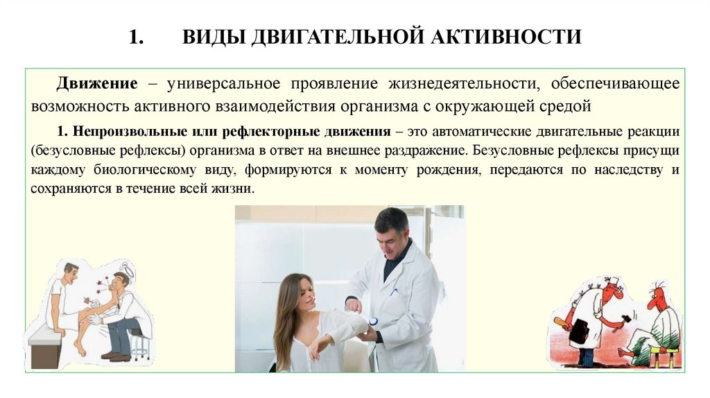 1. ВИДЫ ДВИГАТЕЛЬНОЙ АКТИВНОСТИ