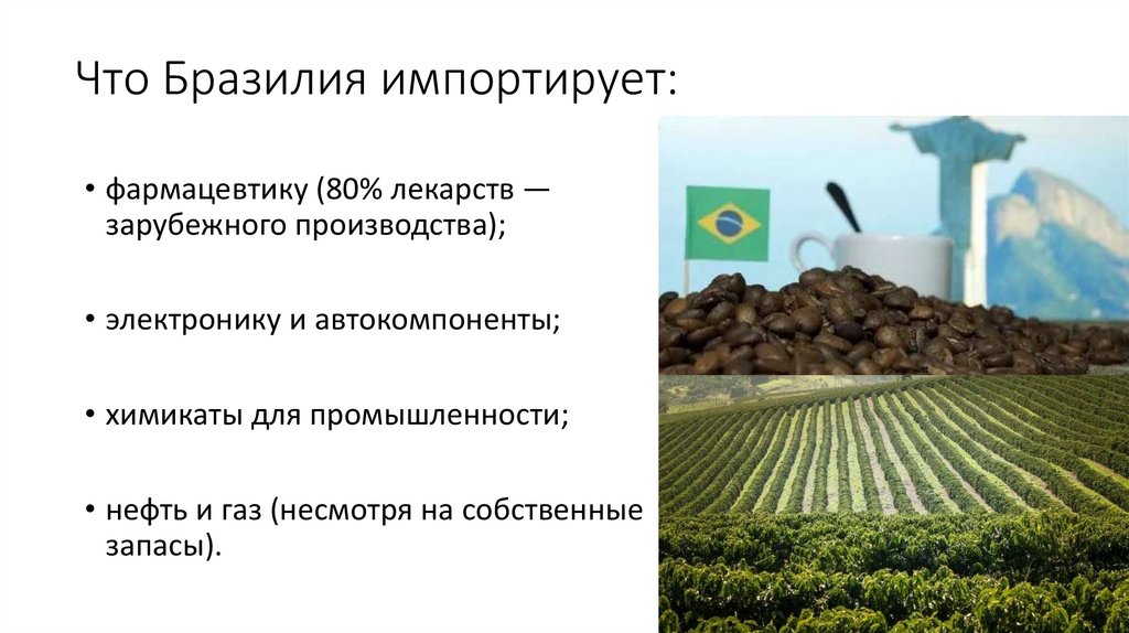Что Бразилия импортирует: