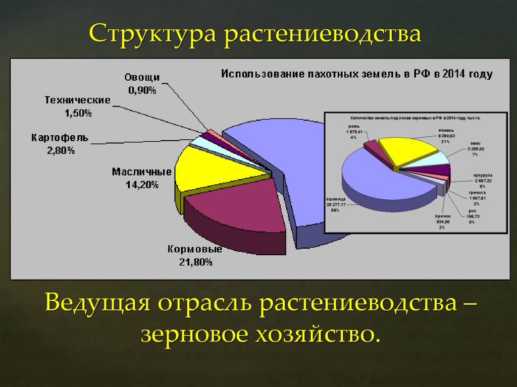 Структура растениеводства