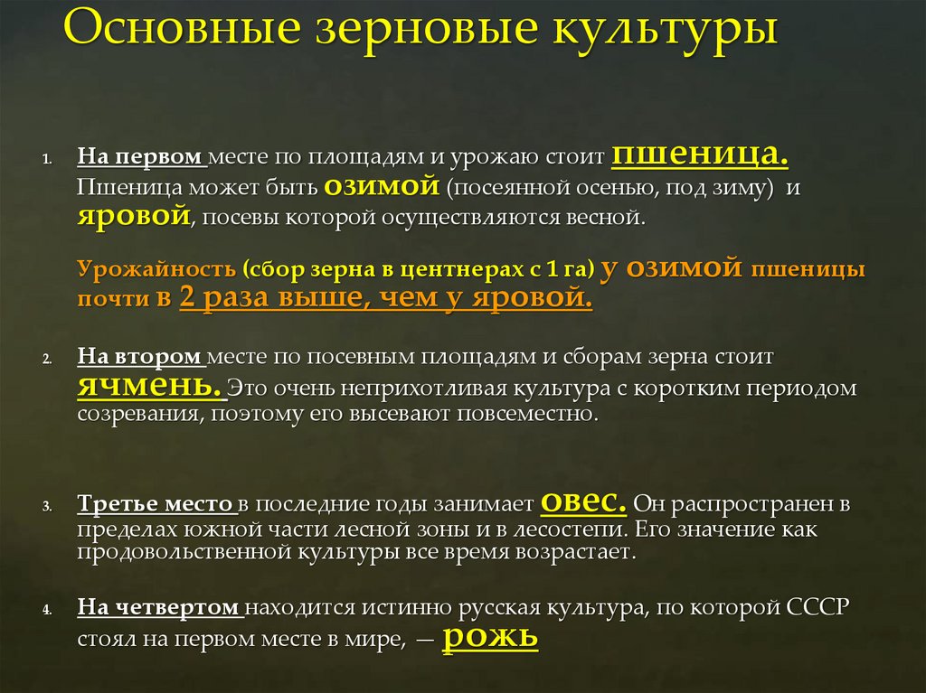 Основные зерновые культуры