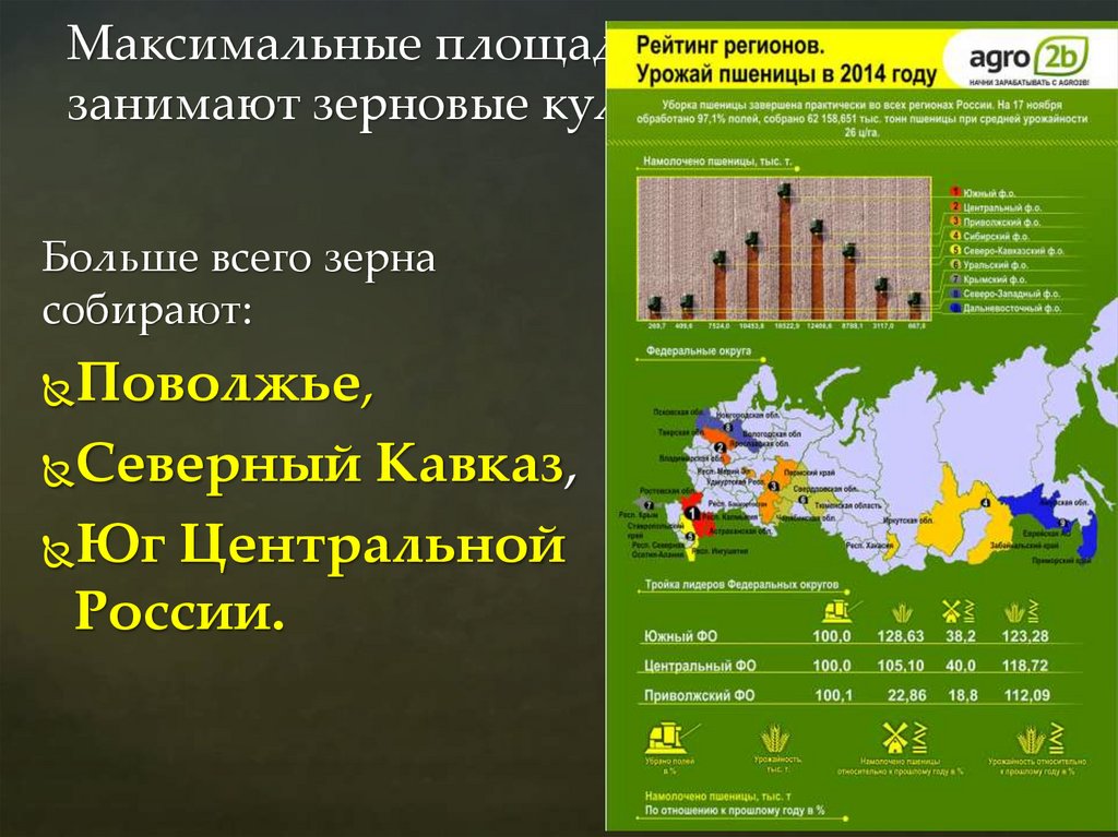 Максимальные площади в России занимают зерновые культуры.