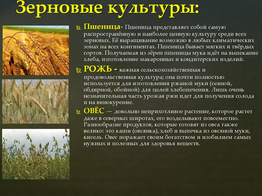 Зерновые культуры:
