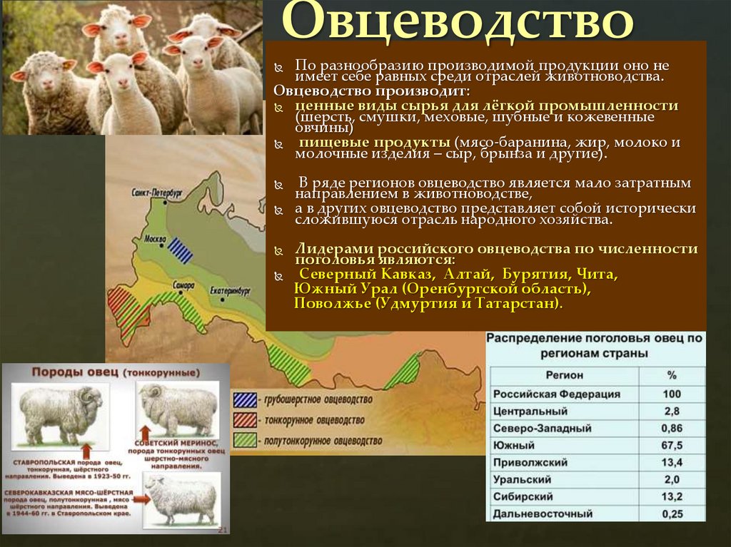 Овцеводство