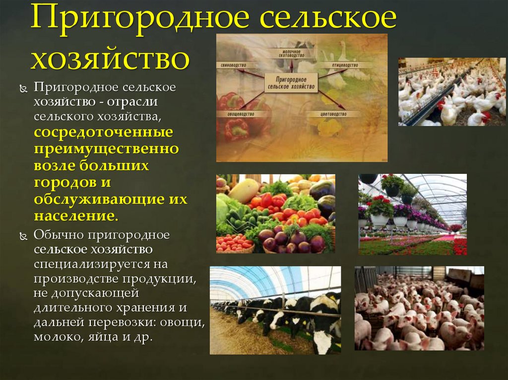 Пригородное сельское хозяйство