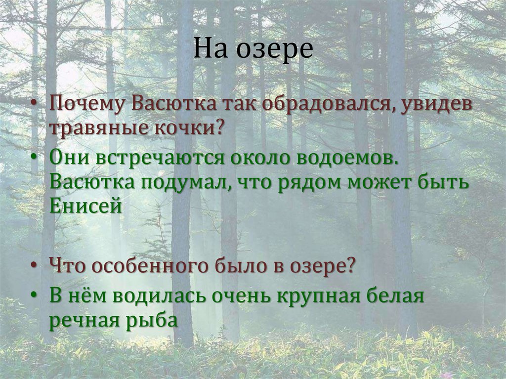 На озере