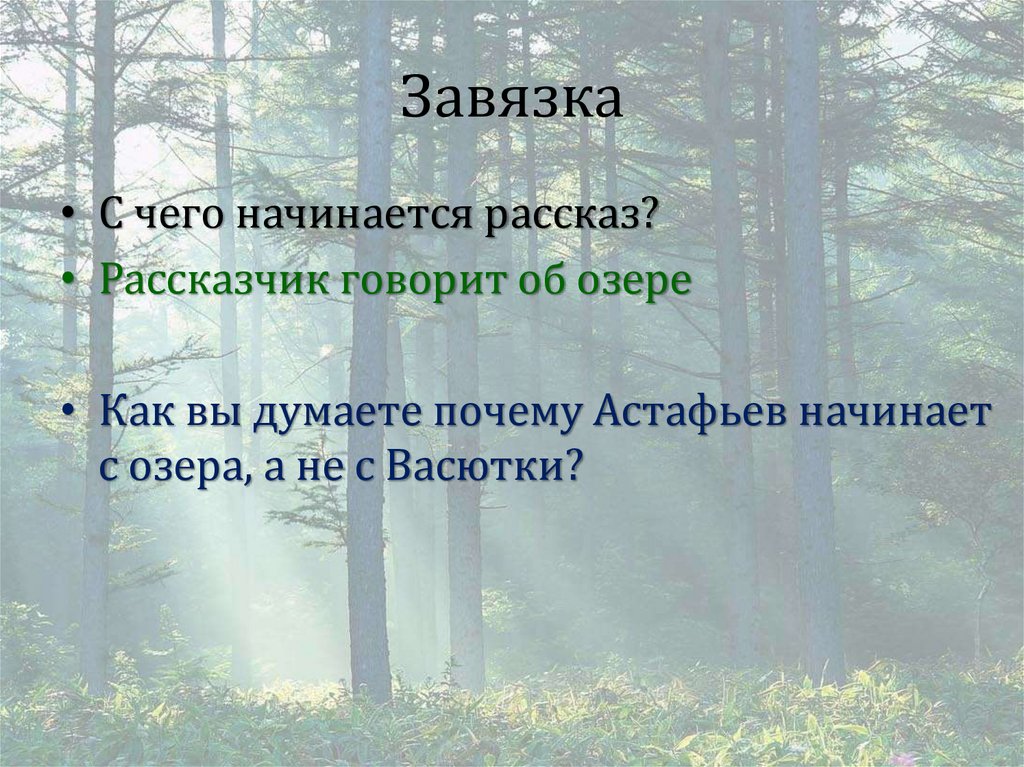 Завязка
