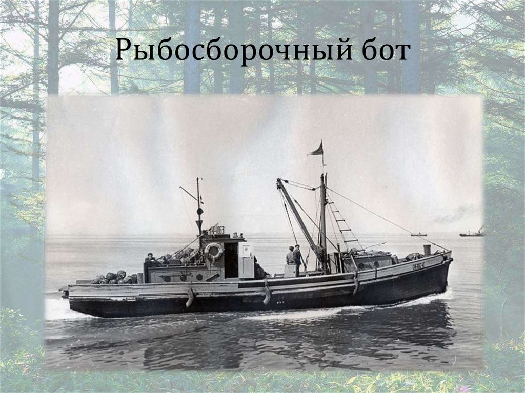 Рыбосборочный бот