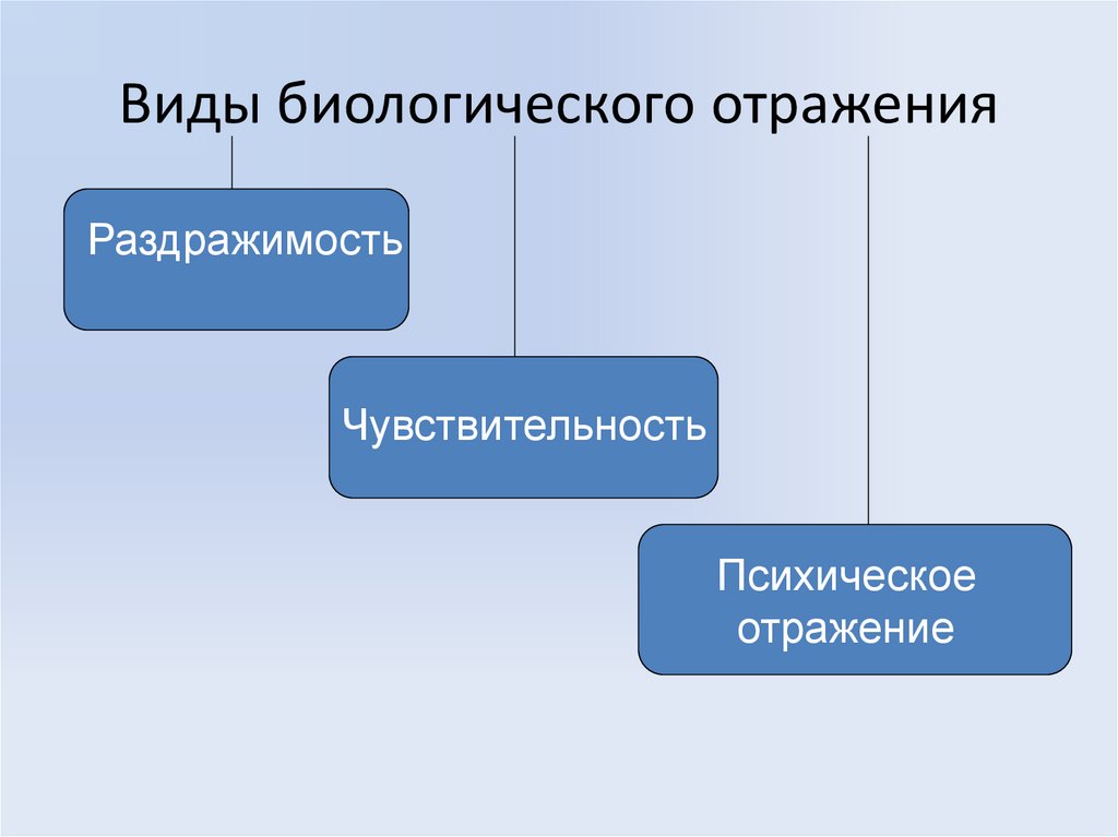 Виды биологического отражения