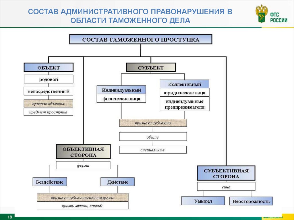 СОСТАВ Административного правонарушения в области таможенного дела