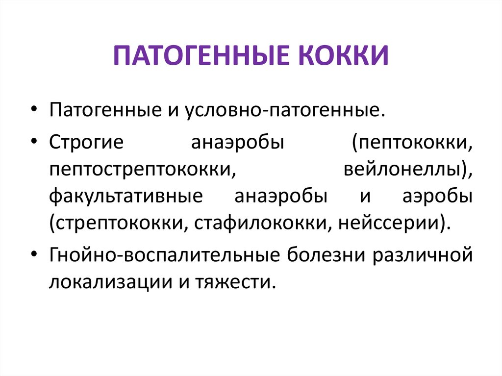 ПАТОГЕННЫЕ КОККИ