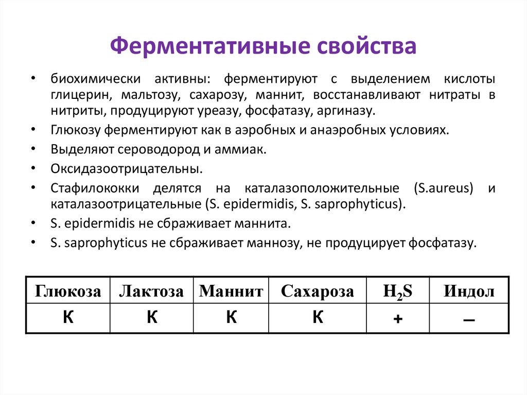 Ферментативные свойства