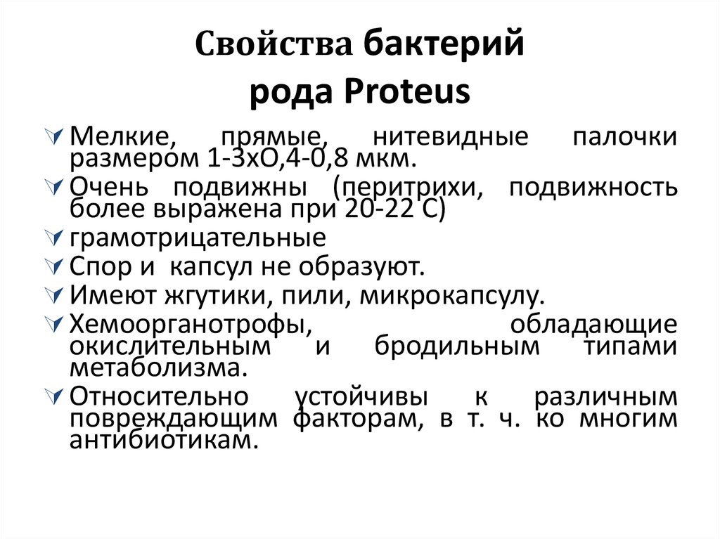 Свойства бактерий рода Proteus