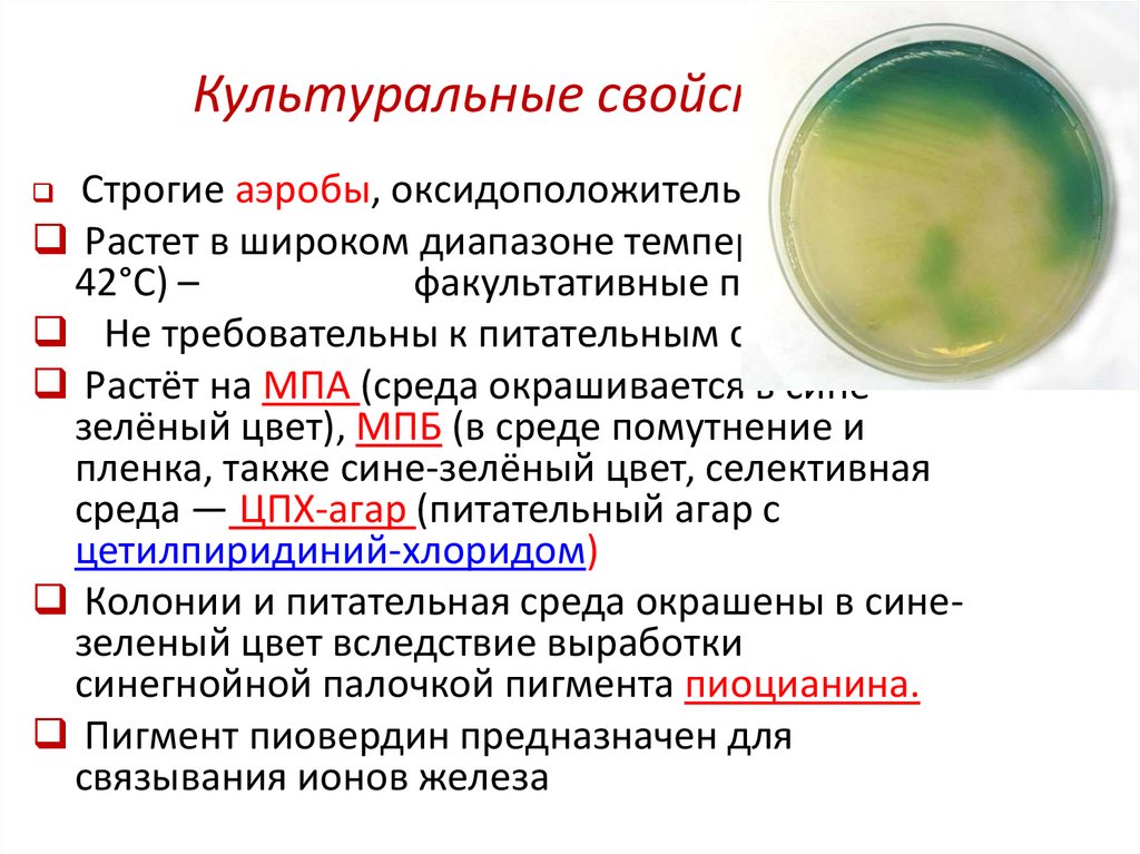 Культуральные свойства