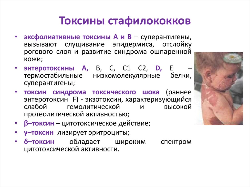 Токсины стафилококков