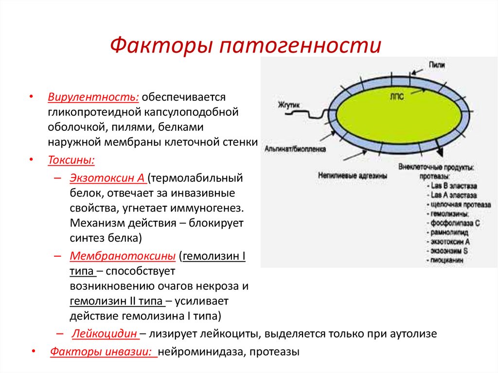 Факторы патогенности
