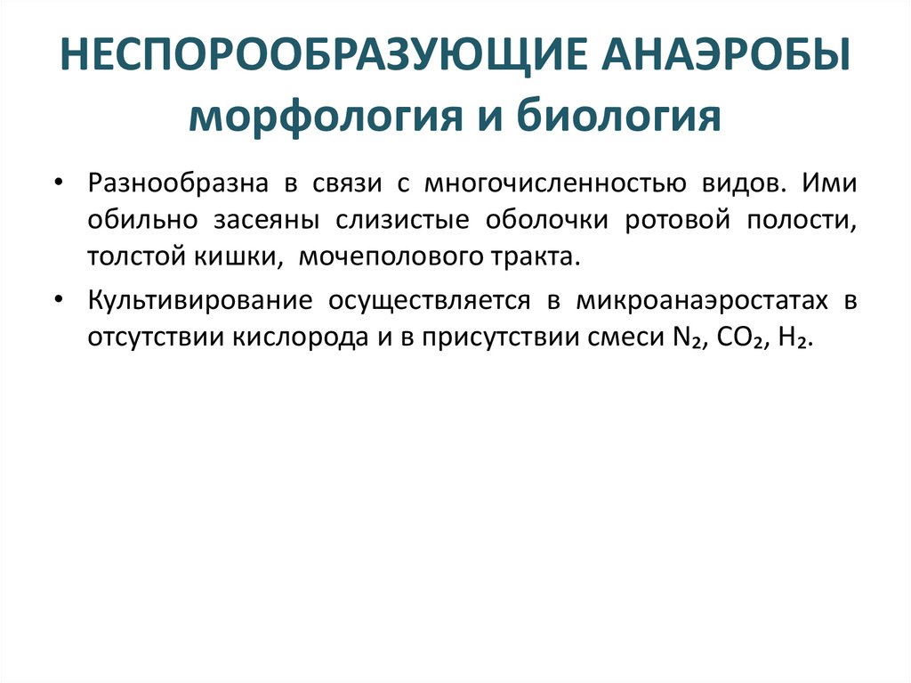 НЕСПОРООБРАЗУЮЩИЕ АНАЭРОБЫ морфология и биология
