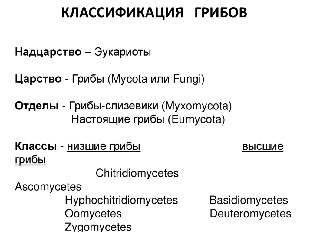 КЛАССИФИКАЦИЯ ГРИБОВ