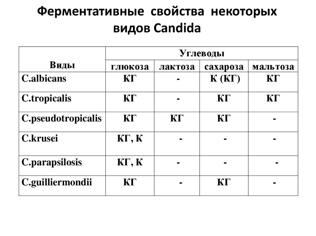Ферментативные свойства некоторых видов Candida