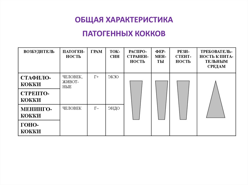 ОБЩАЯ ХАРАКТЕРИСТИКА ПАТОГЕННЫХ КОККОВ