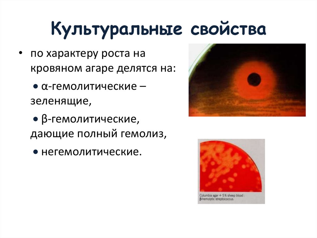 Культуральные свойства