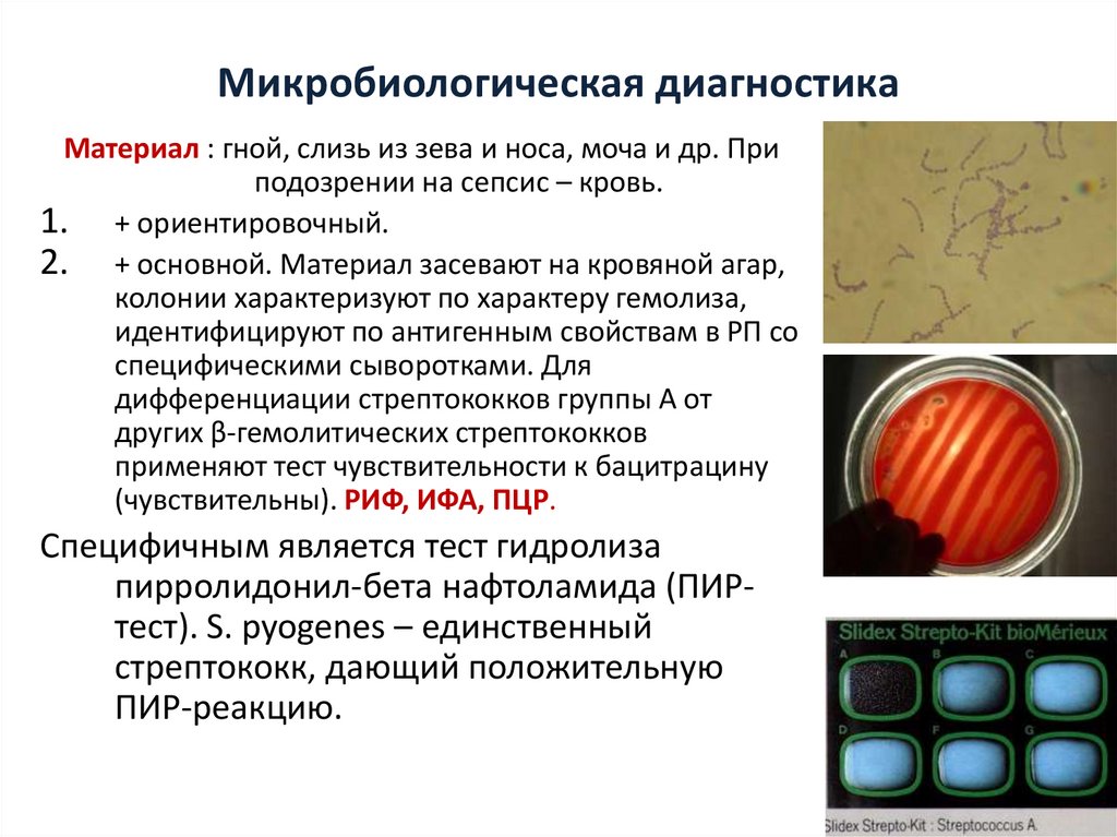 Микробиологическая диагностика