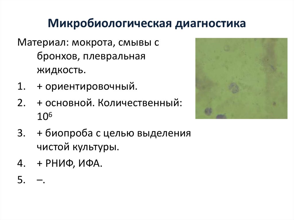 Микробиологическая диагностика