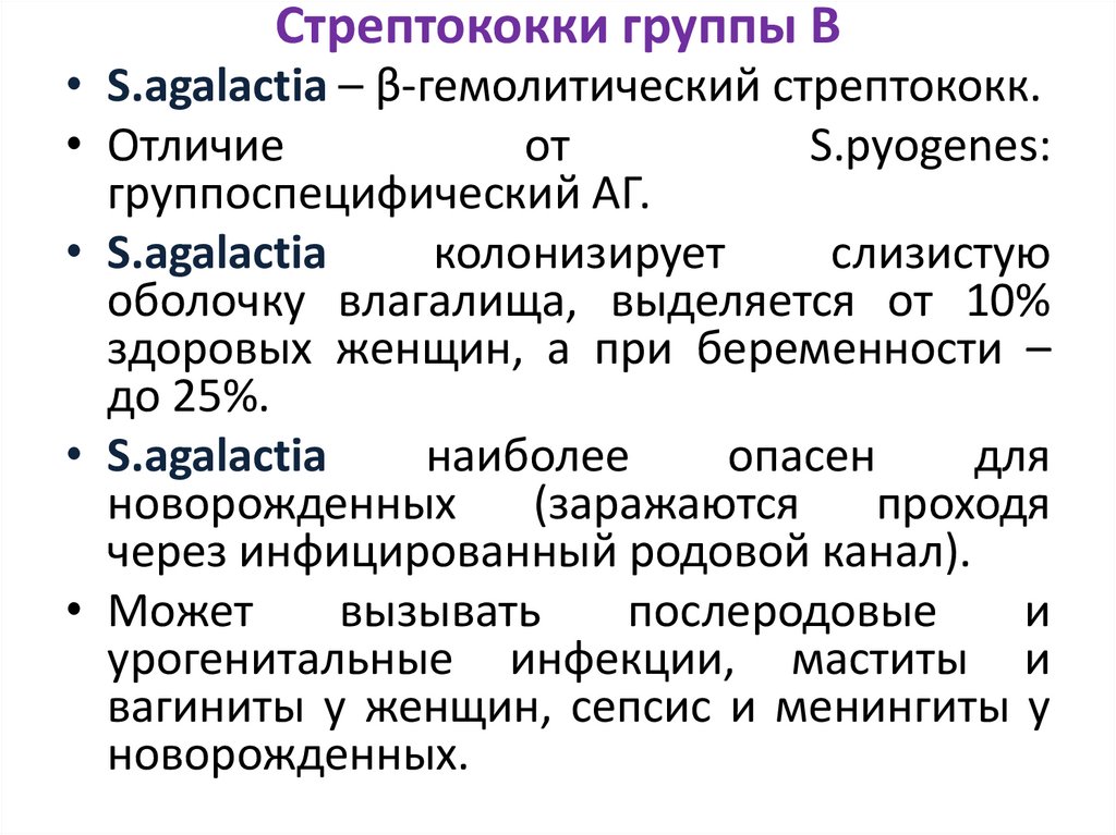 Стрептококки группы В