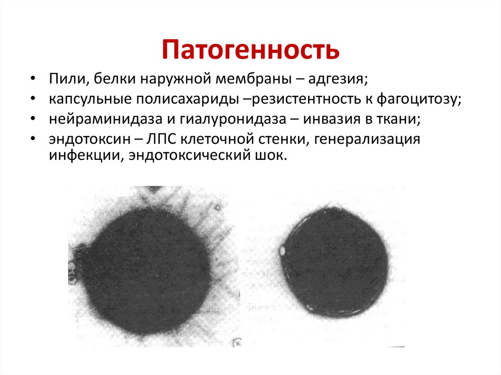 Патогенность