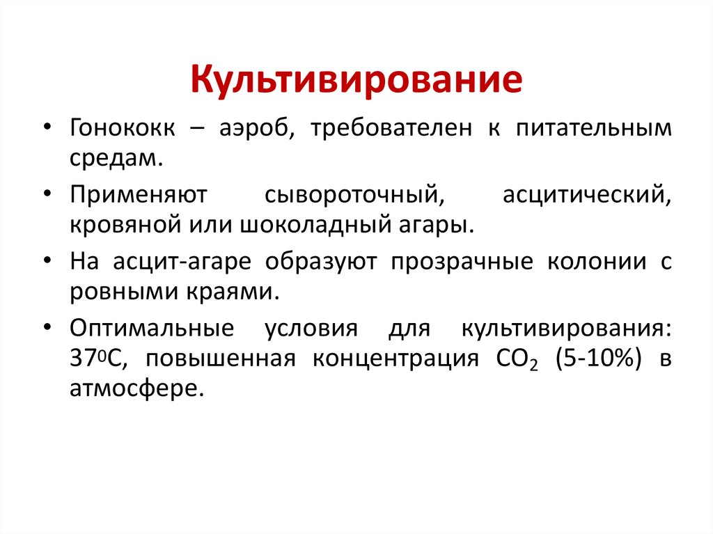 Культивирование