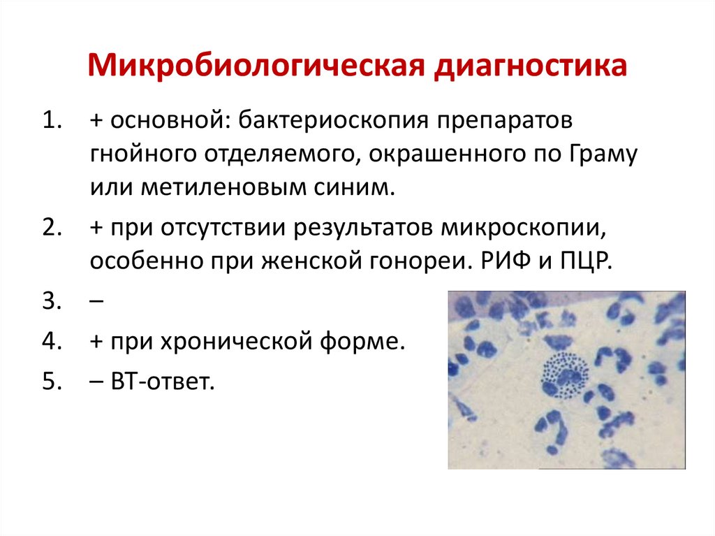 Микробиологическая диагностика