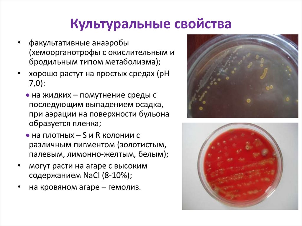 Культуральные свойства