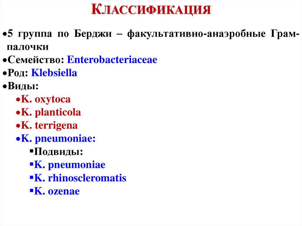 Классификация