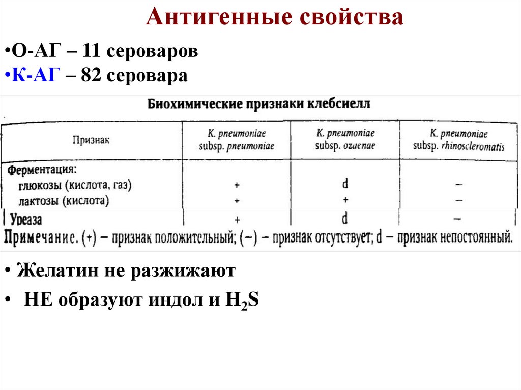 Антигенные свойства