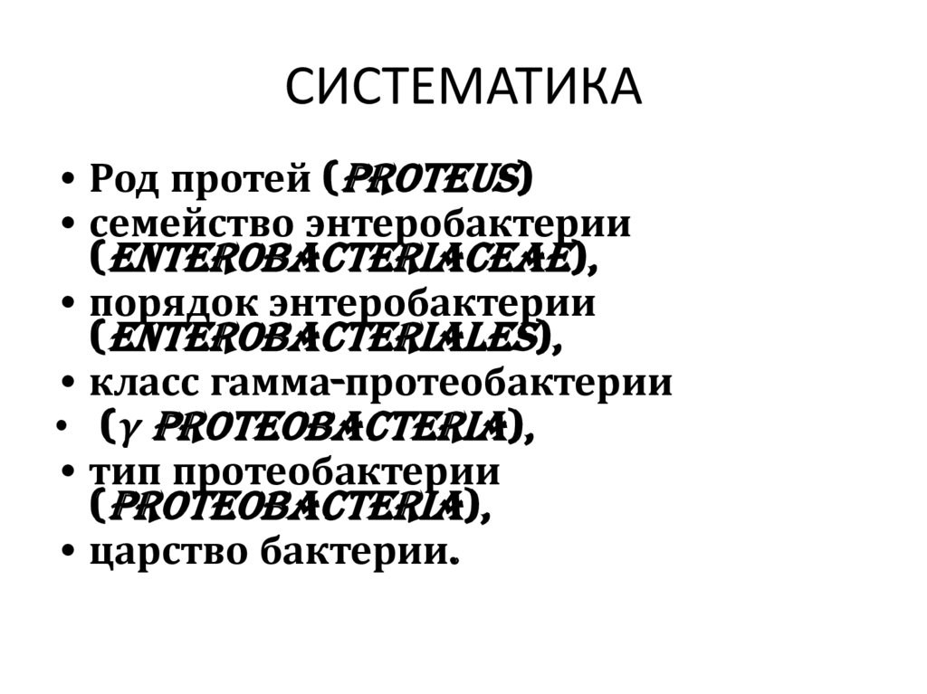 СИСТЕМАТИКА