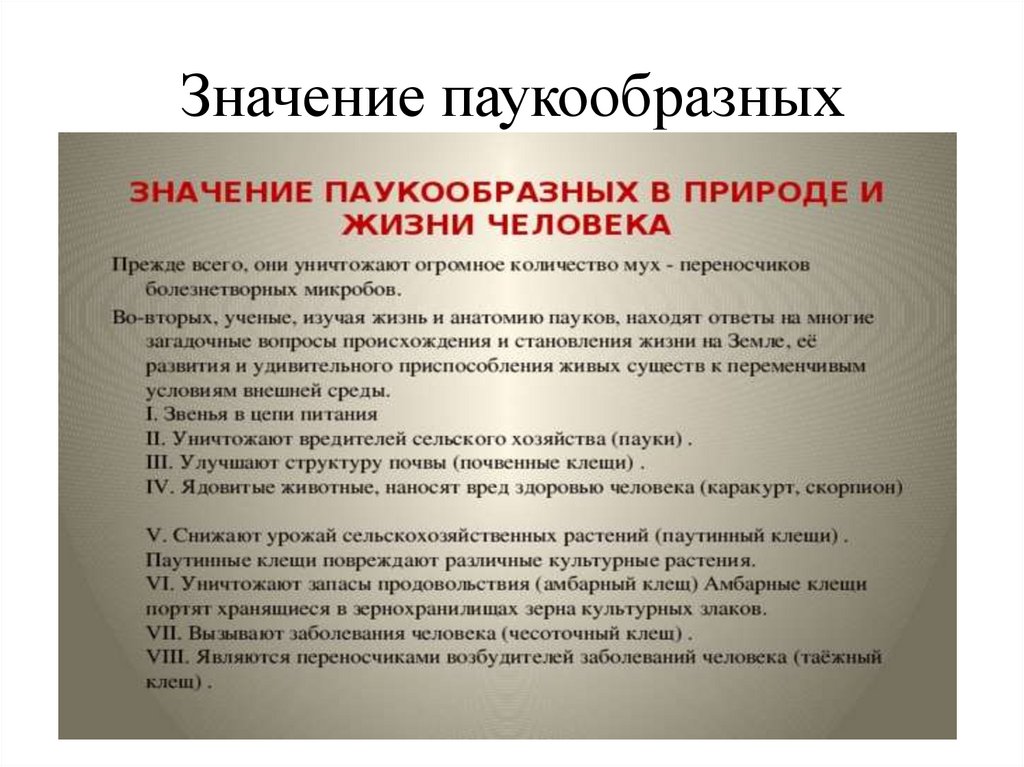 Значение паукообразных