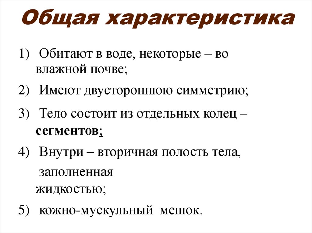 Общая характеристика