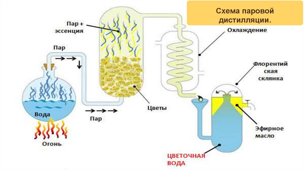 Схема паровой дистилляции.