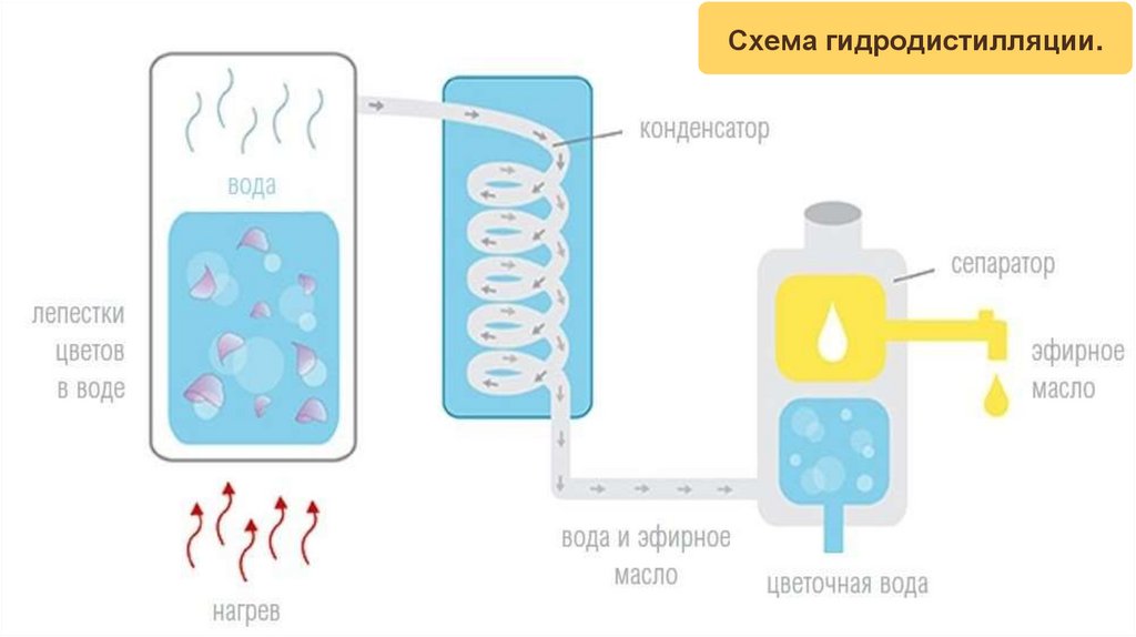 Схема гидродистилляции.