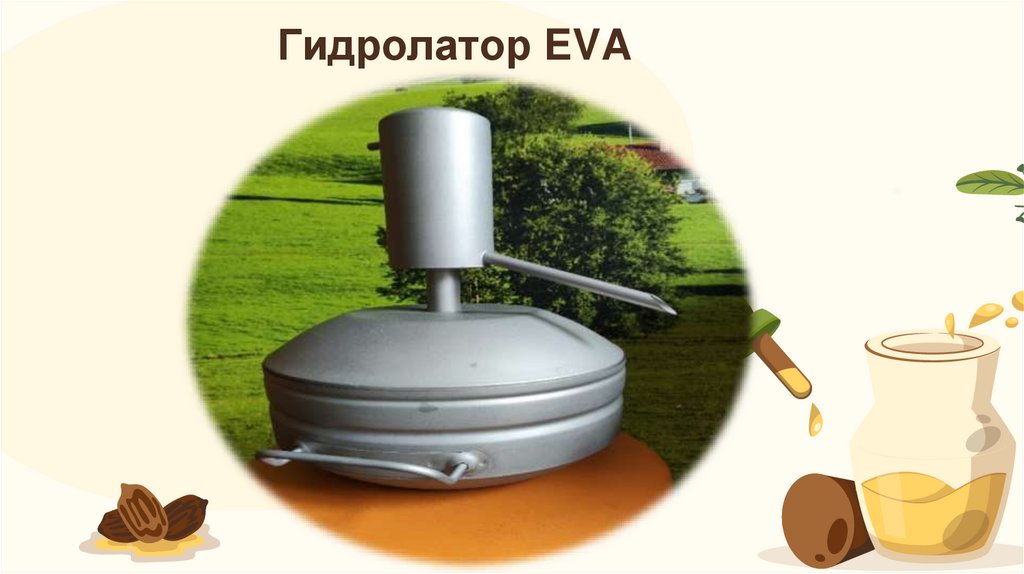 Гидролатор EVA