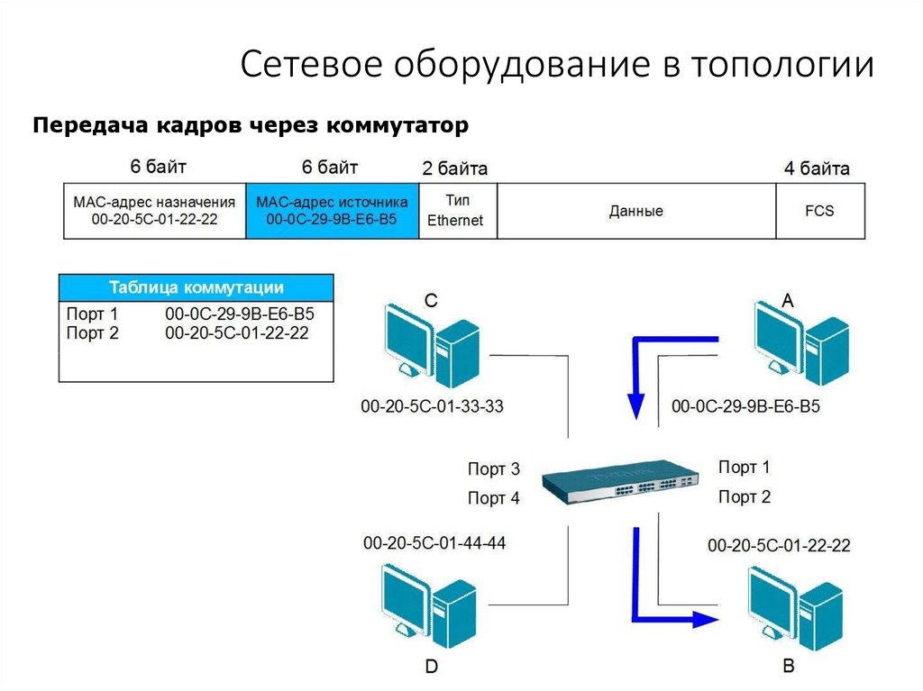 Сетевое оборудование в топологии