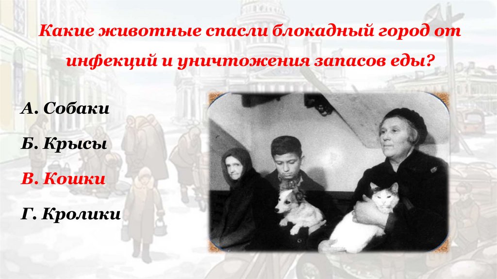 Какие животные спасли блокадный город от инфекций и уничтожения запасов еды?