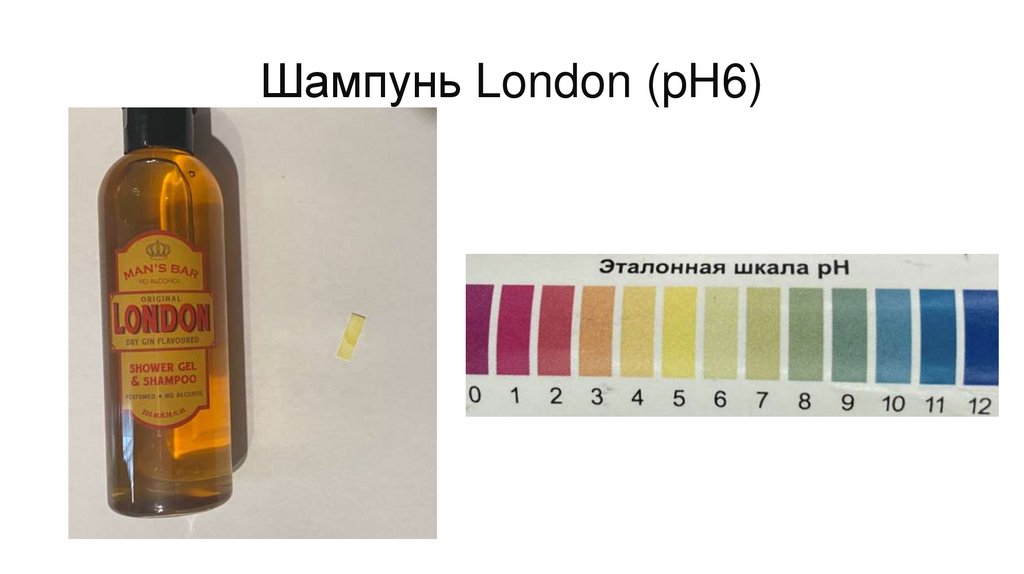 Шампунь London (pH6)