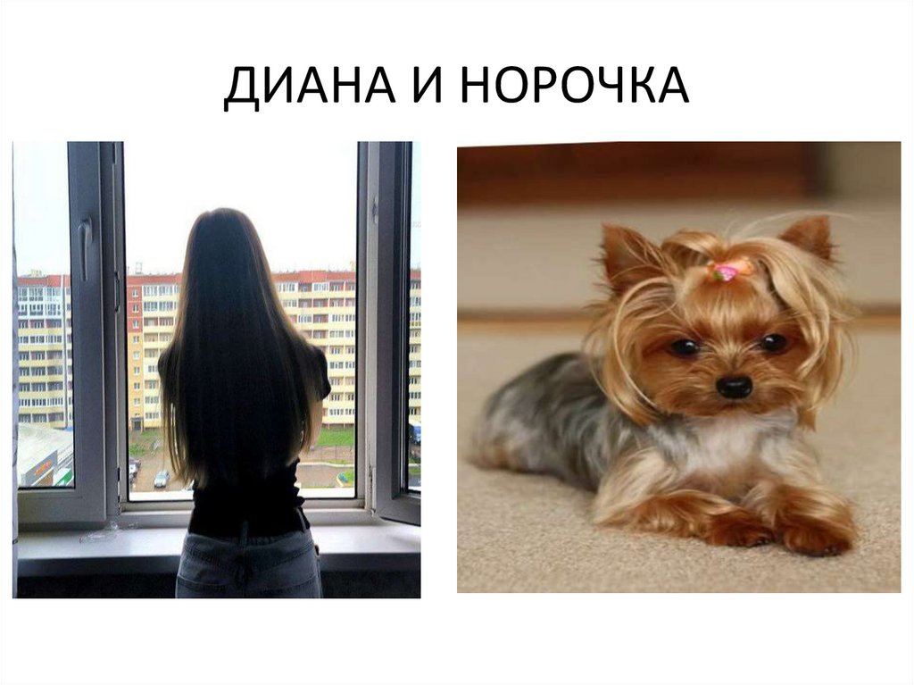 ДИАНА И НОРОЧКА
