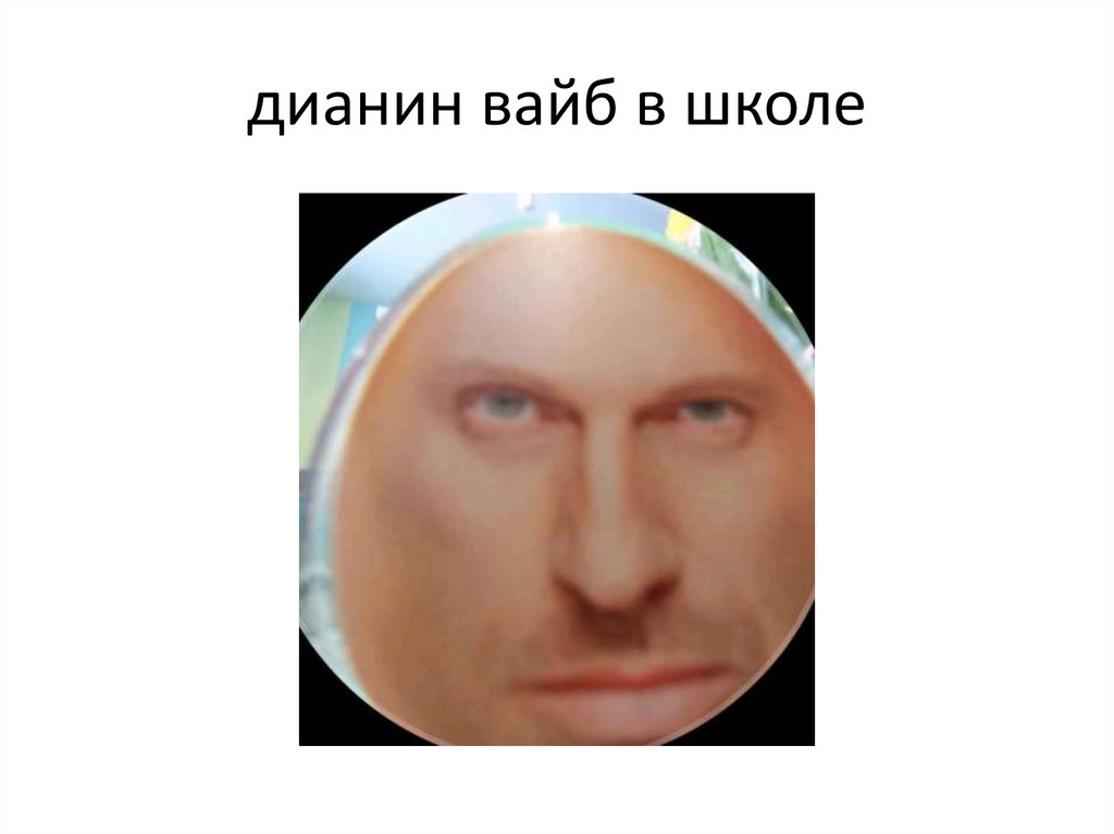 дианин вайб в школе