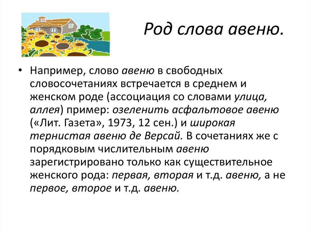 Род слова авеню.