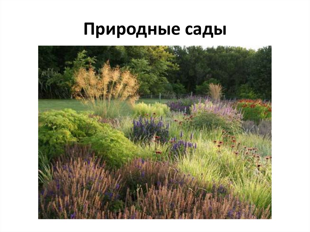 Природные сады